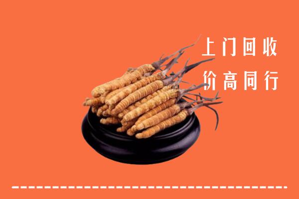 甘南回收散虫草