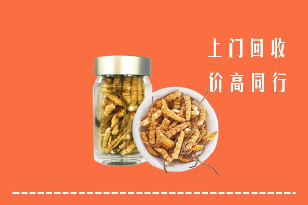 甘南回收冬虫夏草